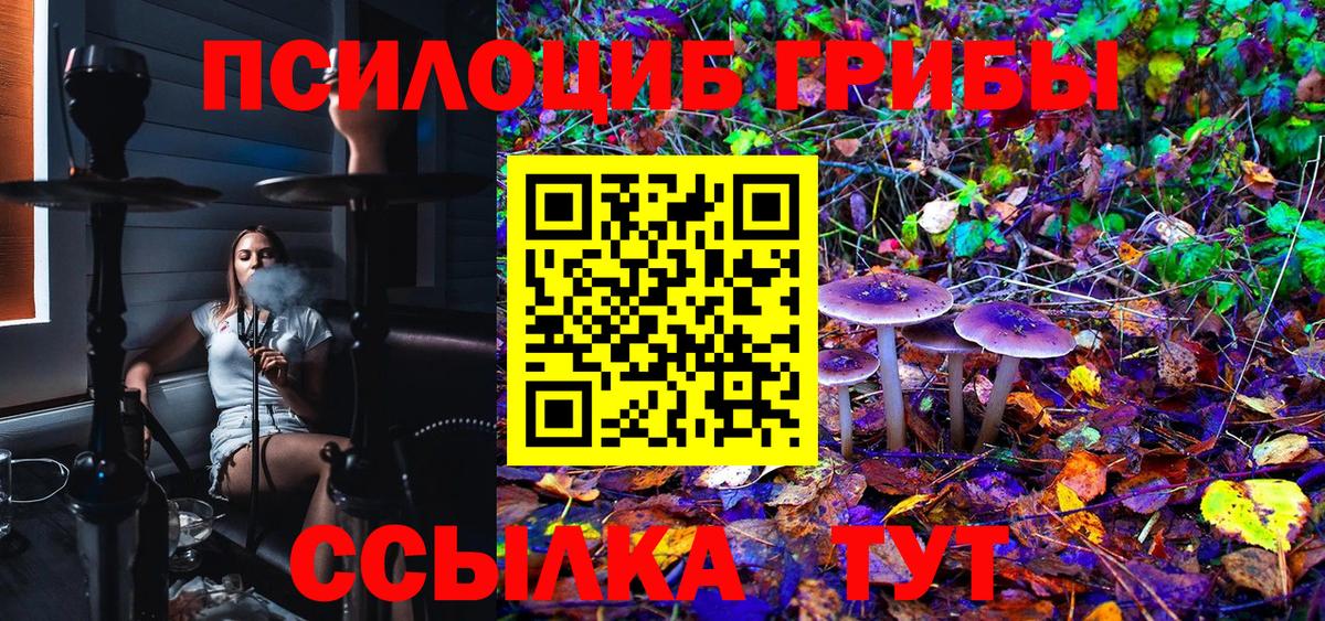 Советск  цена   Вход с VPN  Псилоцибиновые грибы Cubensis 